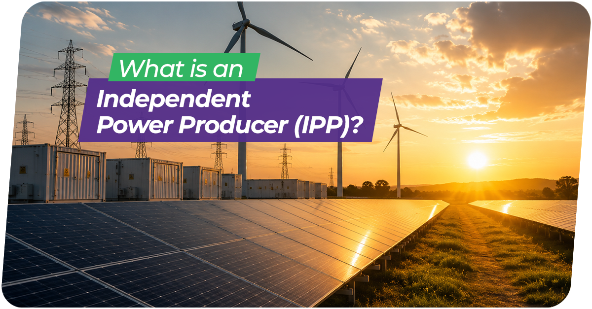 What Is an Independent Power Producer (IPP)? Inside the Companies Building India’s Clean Energy Capacity