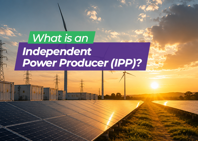 What Is an Independent Power Producer (IPP)?